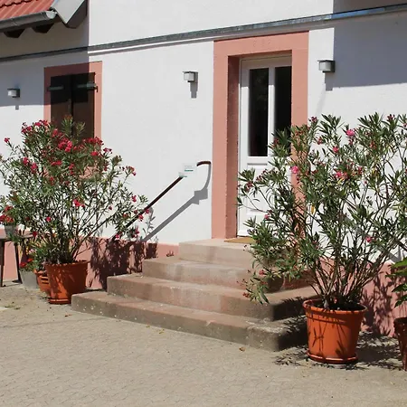 Schulte & Mehr Lejlighed *