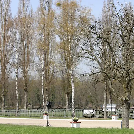 Schulte & Mehr * Meißenheim