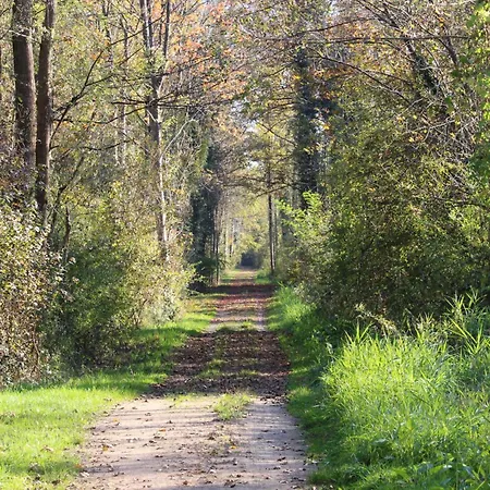 Schulte & Mehr Meißenheim