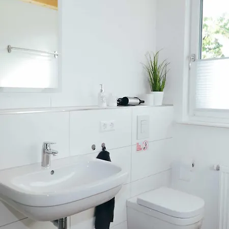 Schulte & Mehr Meißenheim